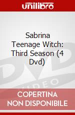 Sabrina Teenage Witch: Third Season (4 Dvd) dvd