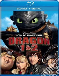 (Blu-Ray Disk) How To Train Your Dragon 1 & 2  (2 Blu-Ray) [Edizione: Stati Uniti] brd