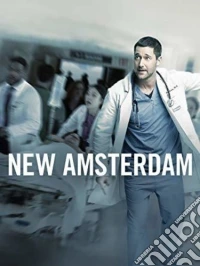 New Amsterdam: Season One (6 Dvd) dvd