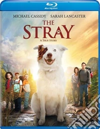 (Blu-Ray Disk) Stray brd