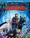 (Blu-Ray Disk) How To Train Your Dragon: Hidden World (2 Blu-Ray) [Edizione: Stati Uniti] dvd