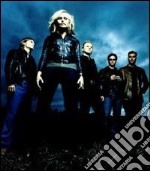 The Cardigans. Lovefool dvd