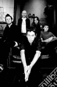 Shed Seven. The Universal Masters DVD Collection dvd