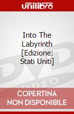 Into The Labyrinth [Edizione: Stati Uniti] dvd