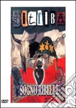 Litfiba. Sogno ribelle dvd