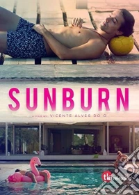 Sunburn [Edizione: Stati Uniti] dvd