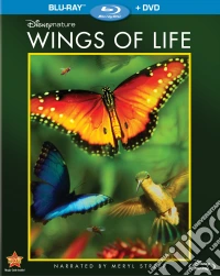 (Blu-Ray Disk) Wings Of Life (Blu-Ray+Dvd) [Edizione: Regno Unito] brd