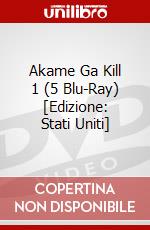 Akame Ga Kill 1 (5 Blu-Ray) [Edizione: Stati Uniti] dvd