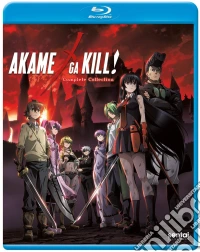 (Blu-Ray Disk) Akame Ga Kill: Complete Collection (3 Blu-Ray) brd