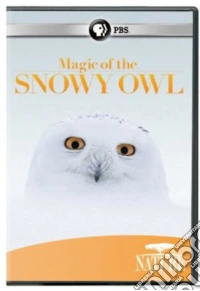 Nature: Magic Of The Snowy Owl [Edizione: Stati Uniti] dvd