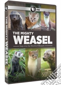 Nature: Mighty Weasel dvd