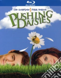 (Blu-Ray Disk) Pushing Daisies: Complete First Season [Edizione: Stati Uniti] brd