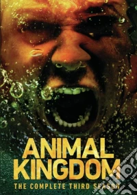 Animal Kingdom: Complete Third Season (3 Dvd) dvd