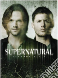 Supernatural: Seasons 11-14 (22 Dvd) [Edizione: Stati Uniti] dvd