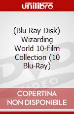 (Blu-Ray Disk) Wizarding World 10-Film Collection (10 Blu-Ray) brd