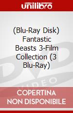 (Blu-Ray Disk) Fantastic Beasts 3-Film Collection (3 Blu-Ray) brd