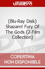 (Blu-Ray Disk) Shazam! Fury Of The Gods (2-Film Collection) brd