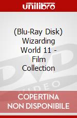 (Blu-Ray Disk) Wizarding World 11 - Film Collection brd