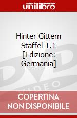 Hinter Gittern Staffel 1.1 [Edizione: Germania] dvd