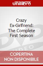 Crazy Ex-Girlfriend: The Complete First Season dvd