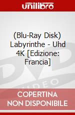 (Blu-Ray Disk) Labyrinthe - Uhd 4K [Edizione: Francia] brd