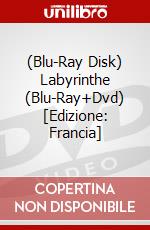 (Blu-Ray Disk) Labyrinthe (Blu-Ray+Dvd) [Edizione: Francia] brd
