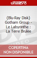 (Blu-Ray Disk) Gotham Group - Le Labyrinthe : La Terre Brulee brd