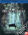 (Blu Ray Disk) Piano Forest dvd
