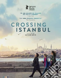 Crossing Istanbul dvd