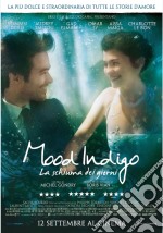 Mood Indigo - La Schiuma Dei Giorni dvd