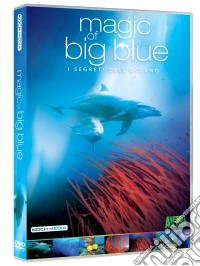 Magic Of The Big Blue (3 Dvd) dvd