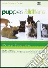 Puppies & Kittens (Special Collector's Edition) film in dvd di Timm Hogerzeil