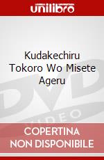 Kudakechiru Tokoro Wo Misete Ageru dvd