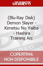 (Blu-Ray Disk) Demon Slayer - Kimetsu No Yaiba - Hashira Training Arc brd