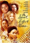 Secret Life Of Bees (The) / Vita Segreta Delle Api (La) [Edizione: Regno Unito] [ITA] dvd