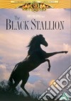 Black Stallion [Edizione: Regno Unito] [ITA] dvd