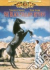 Black Stallion Returns / Ritorno Di Black Stallion (Il) [Edizione: Regno Unito] [ITA] film in dvd di Robert Dalva