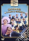 The Cocoanuts  dvd