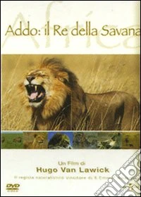 Addo Il Re Della Savana dvd