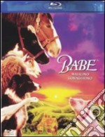 (Blu Ray Disk) Babe - Maialino Coraggioso dvd