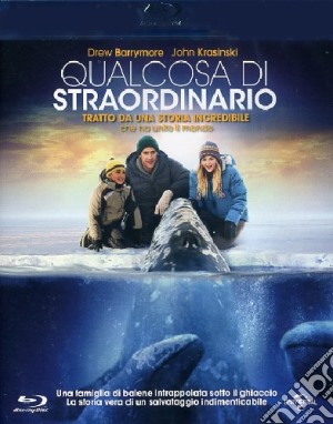 (Blu-Ray Disk) Qualcosa Di Straordinario film in dvd di Ken Kwapis