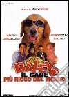 Bailey - Il Cane Piu' Ricco Del Mondo dvd
