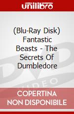 (Blu-Ray Disk) Fantastic Beasts - The Secrets Of Dumbledore brd