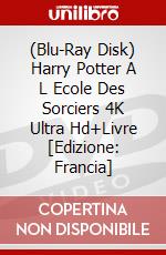 (Blu-Ray Disk) Harry Potter A L Ecole Des Sorciers 4K Ultra Hd+Livre [Edizione: Francia] brd