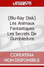 (Blu-Ray Disk) Les Animaux Fantastiques Les Secrets De Dumbledore brd