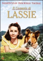 Lassie - Il Coraggio Di Lassie dvd