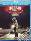 (Blu Ray Disk) Ligabue Campovolo 2.0 (Blu-Ray+Blu-Ray 3D+Libro) dvd