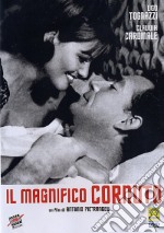 Magnifico Cornuto (Il) dvd