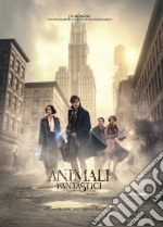 Animali Fantastici E Dove Trovarli dvd