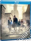 (Blu-Ray Disk) Animali Fantastici E Dove Trovarli film in dvd di David Yates